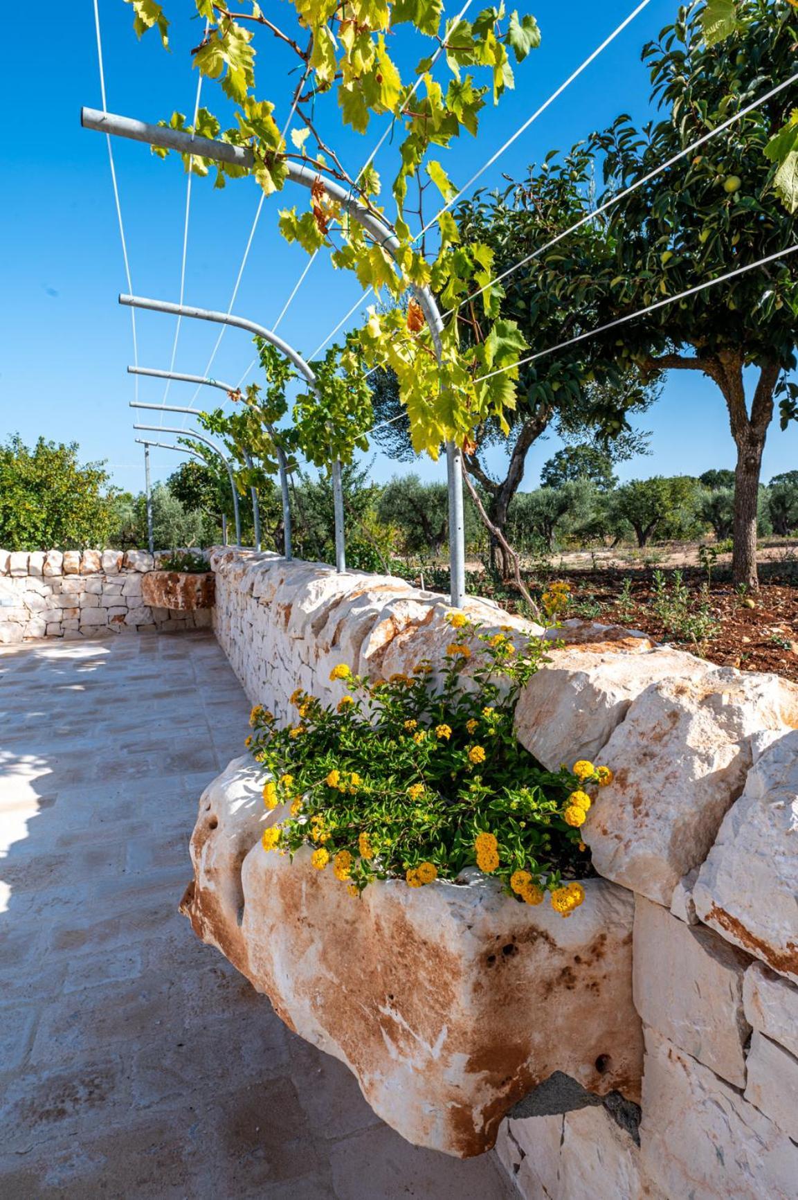 Bed And Breakfast Trulli San Leonardo Alberobello Eksteriør bilde